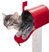 postal kitty
